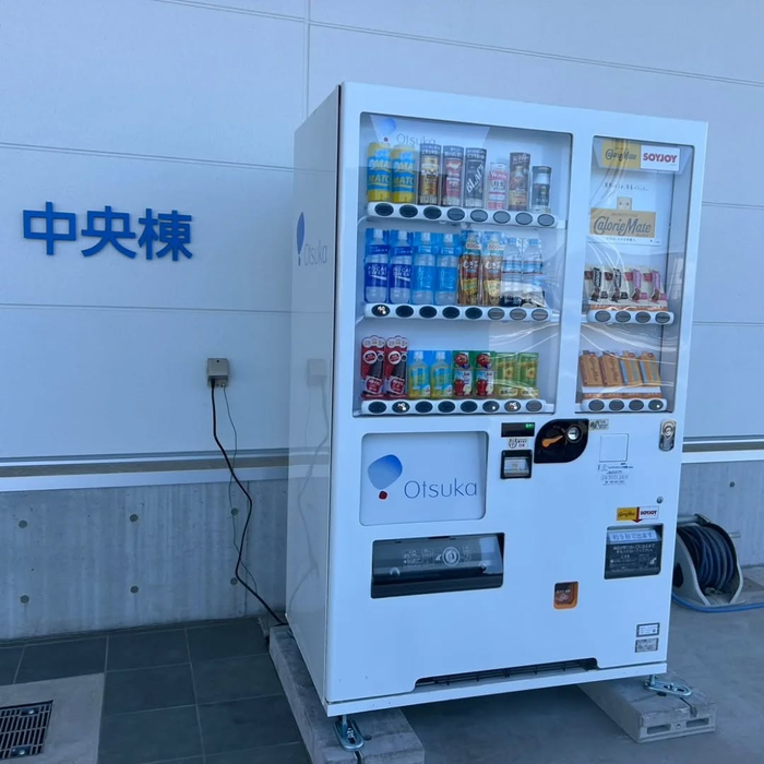 画像244