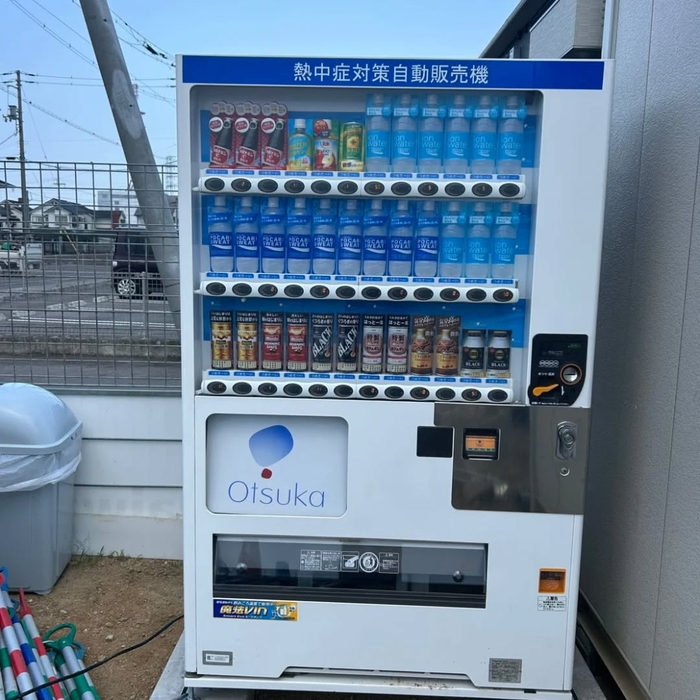 画像290