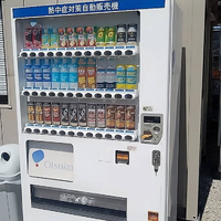 画像313